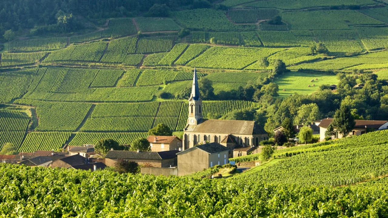 Прогулка по долине луары