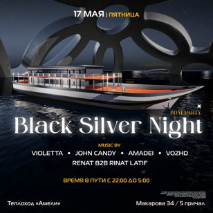 Black Silver Night