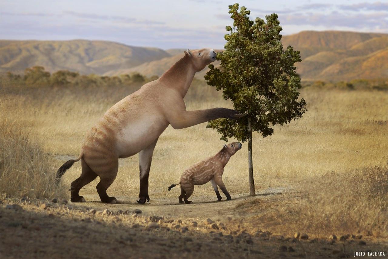 Лекция Ярослава Попова "Непарнокопытные: эволюция выносливых бегунов"