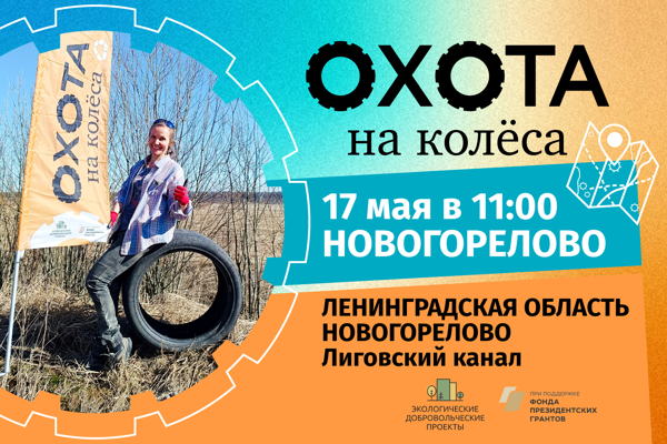 Охота на колёса в Новогорелово