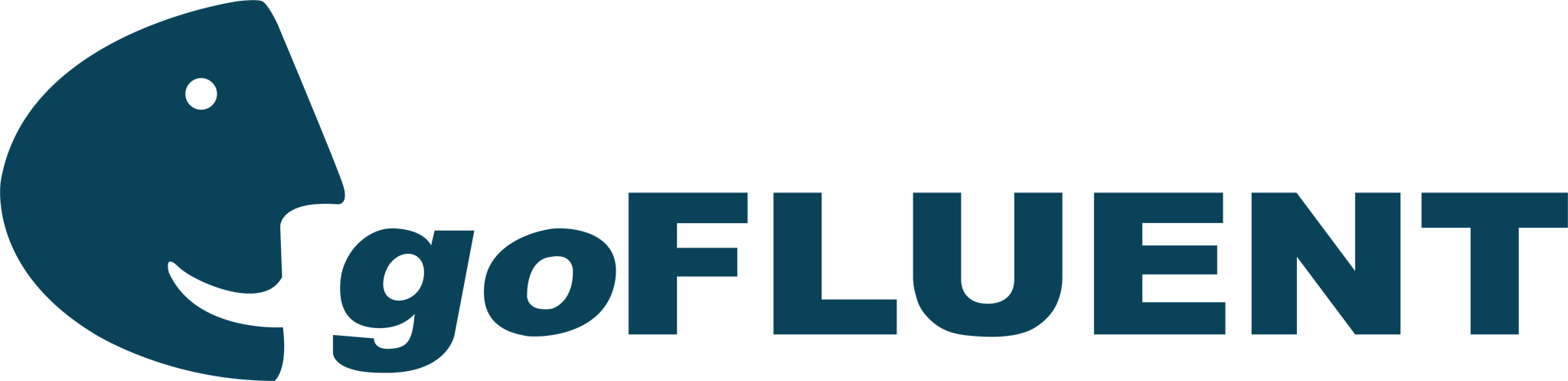 goFLUENT