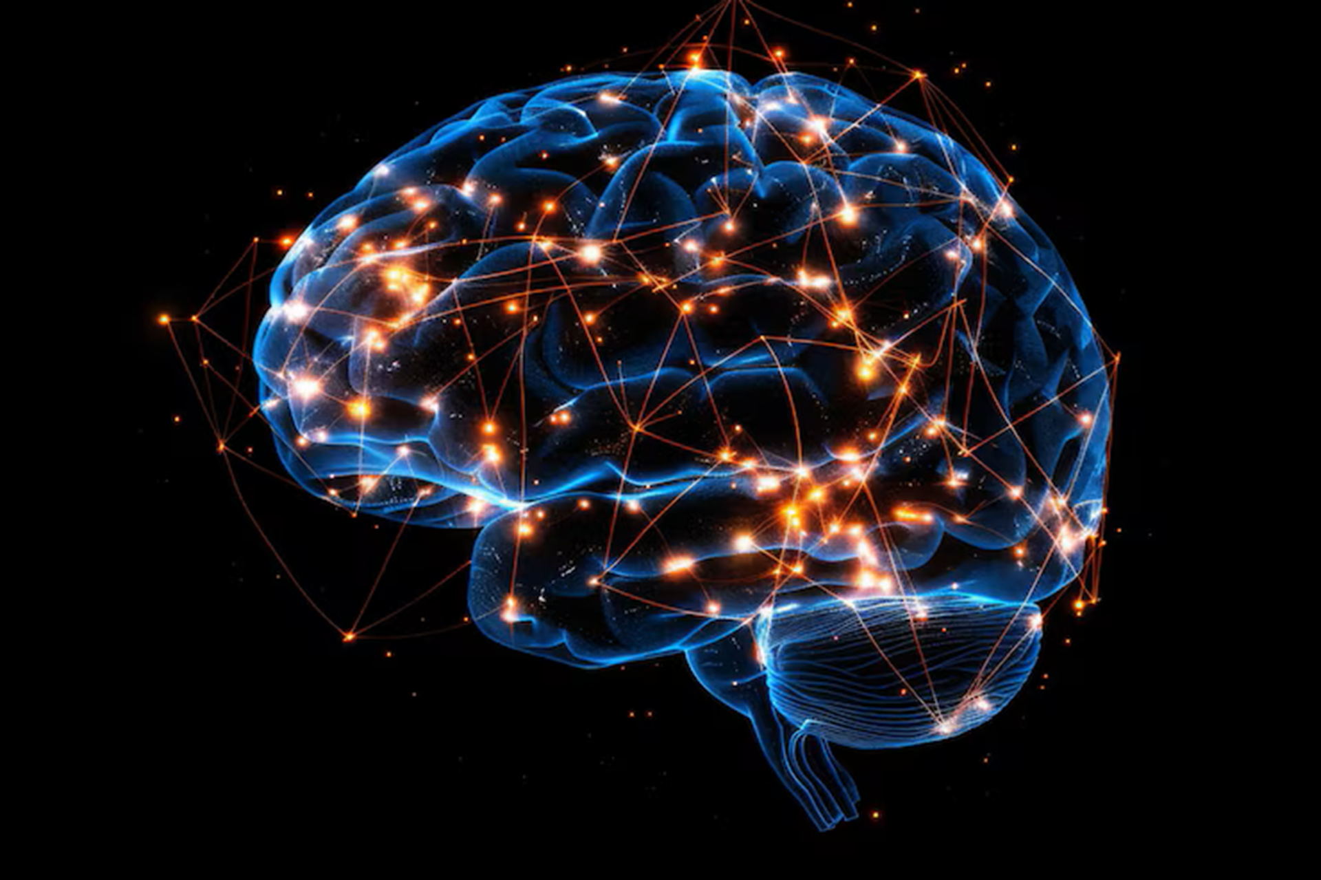 Лекция «Работа мозга: секреты и советы нейропсихологии. Просто о сложном»