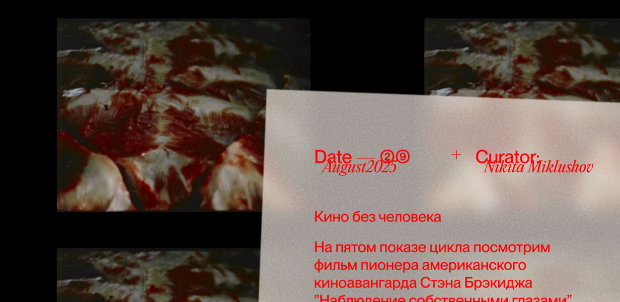 "Наблюдение собственными глазами" реж. Стэн Брэкидж