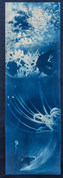 Лекция Сусанны Тиссен «Фотографические процессы»