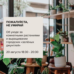 «Пожалуйста, не умирай» - об уходе за комнатными растениями и выращивании городских «зелёных джунглей»