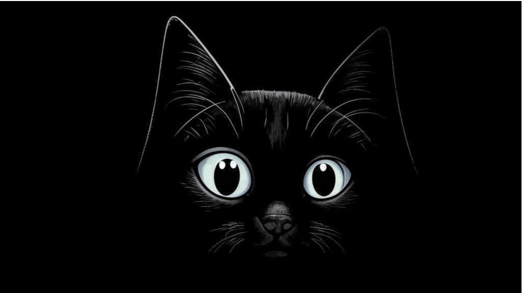 «кот в мешке» кинолекция