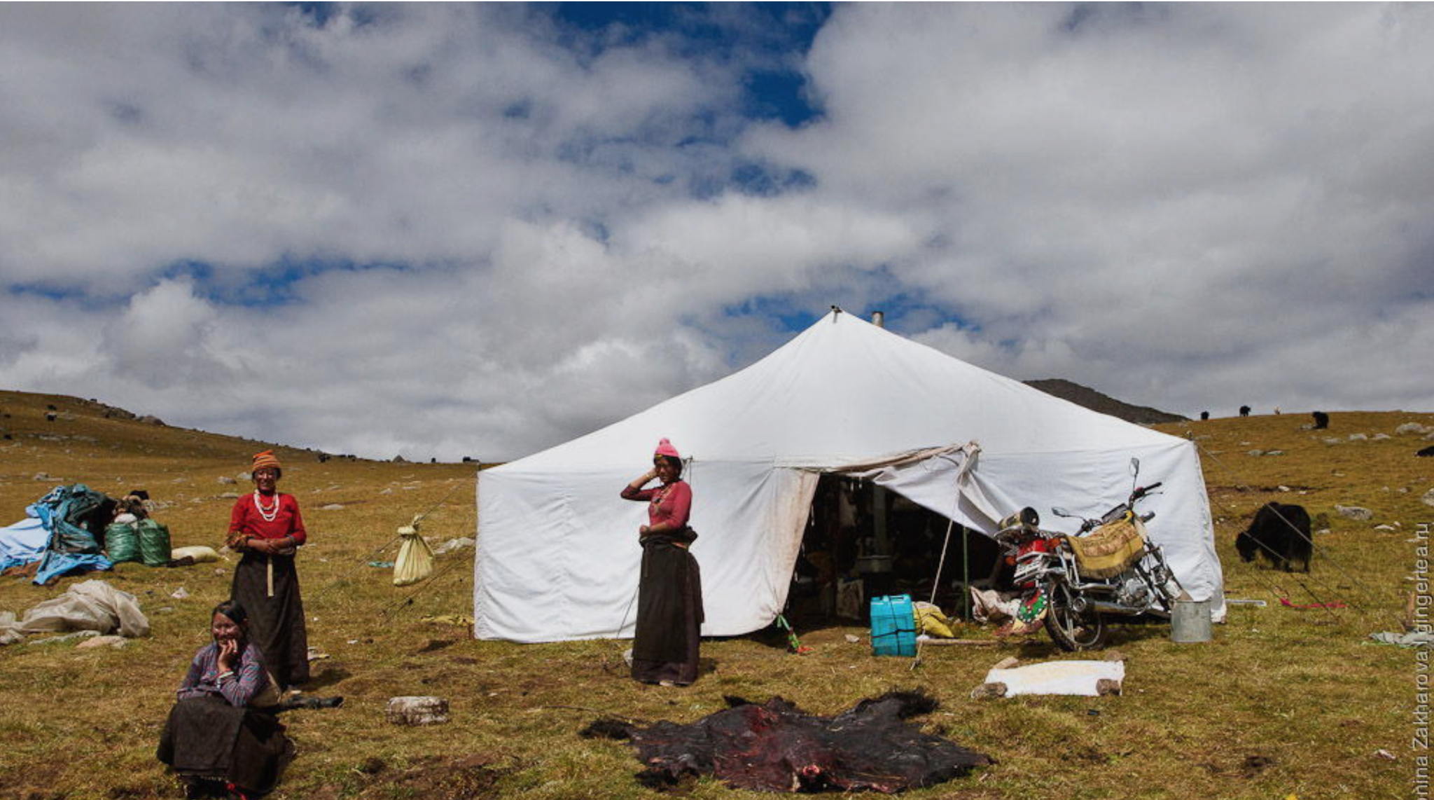 в 15:00 Этнографическая программа в жилище кочевников Тибета в Музее кочевой культуры. 8+