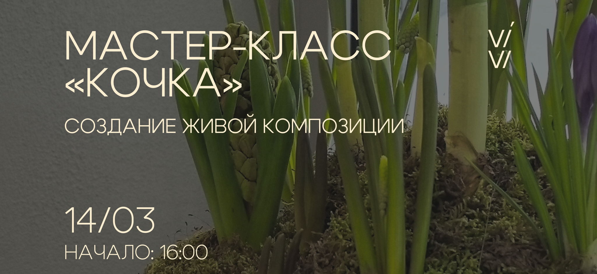 Мастер-класс «Кочка»