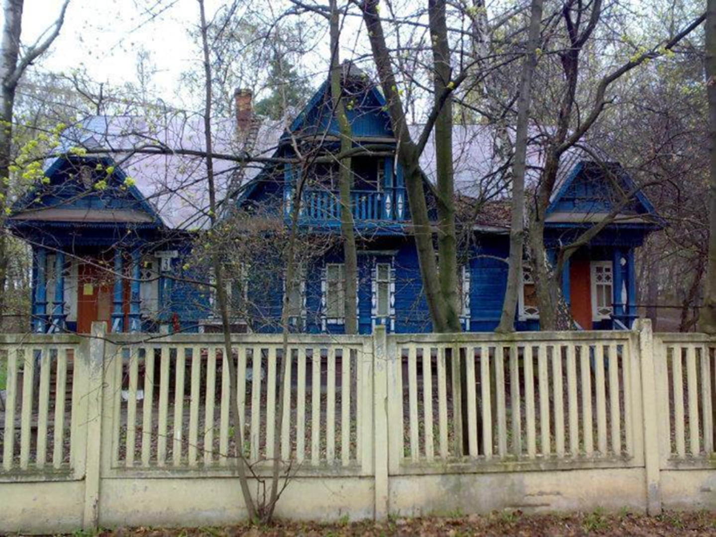 Царицынские дачи | лекция + прогулка с дендрологом