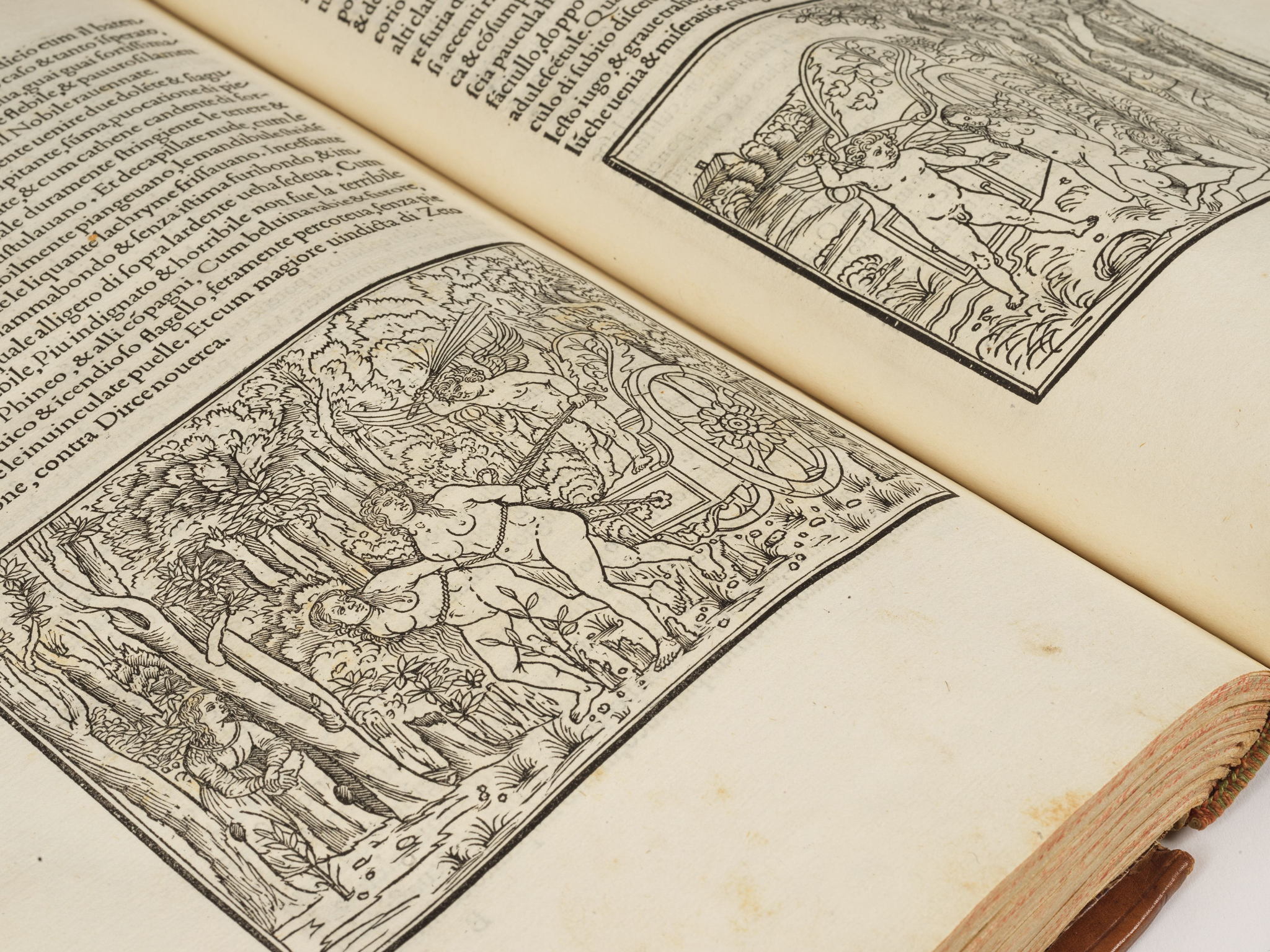 ГИПНЭРОТОМАХИЯ В КРАСКАХ. Мастер-класс по ренессансной фреске