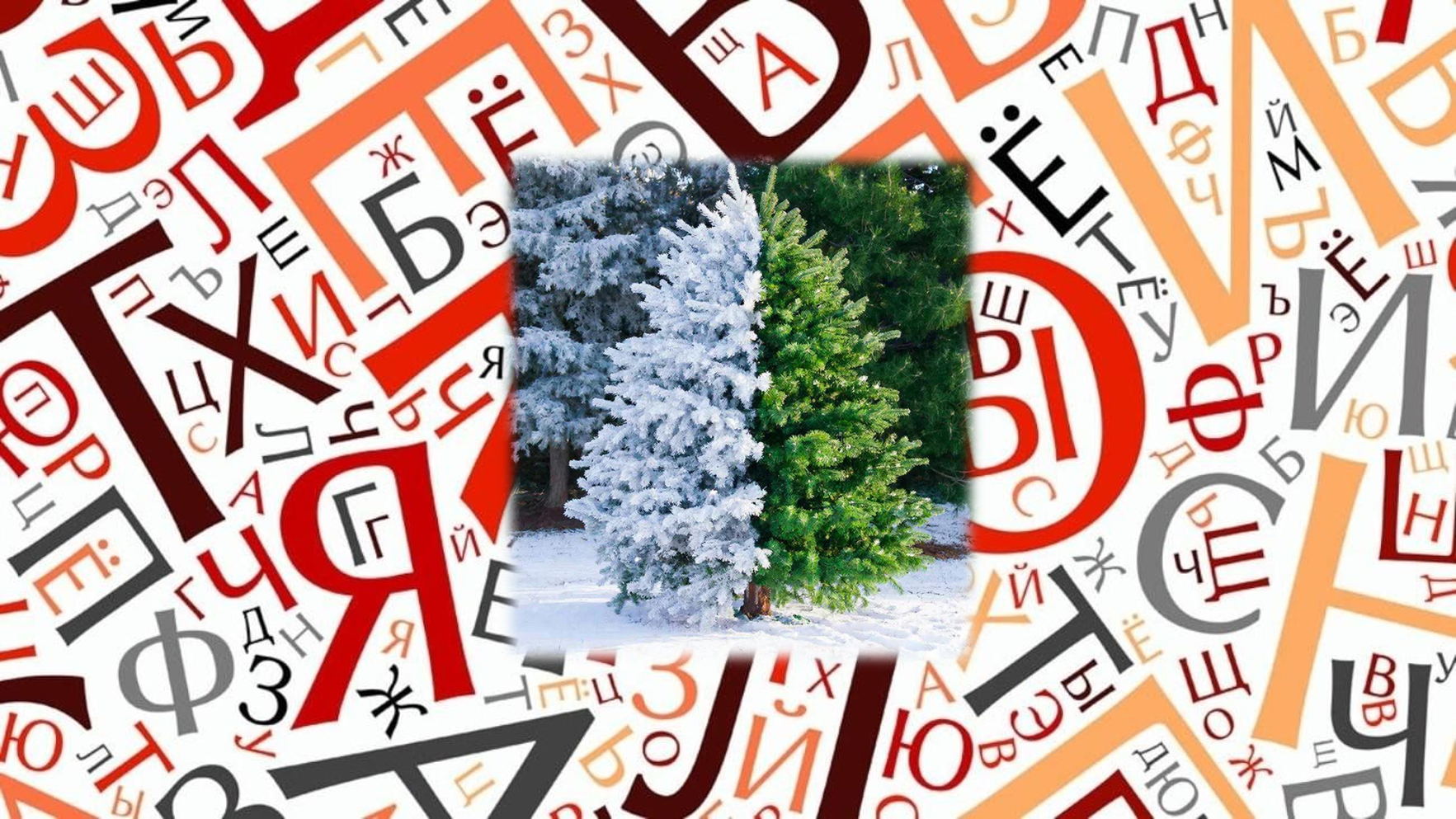 Встреча медиаклуба «Слово года в коммуникациях НКО»