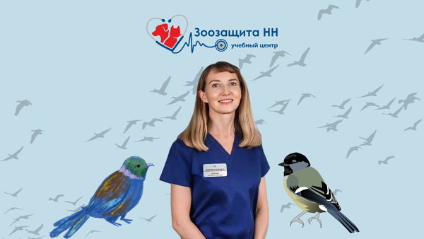 Мастер-класс по медицине птиц от Натальи Волгиной