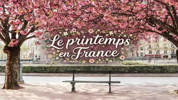 Французский вечер "Весна во Франции"