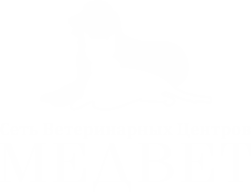 Сеть Ветеринарных Центров "МЕДВЕТ"