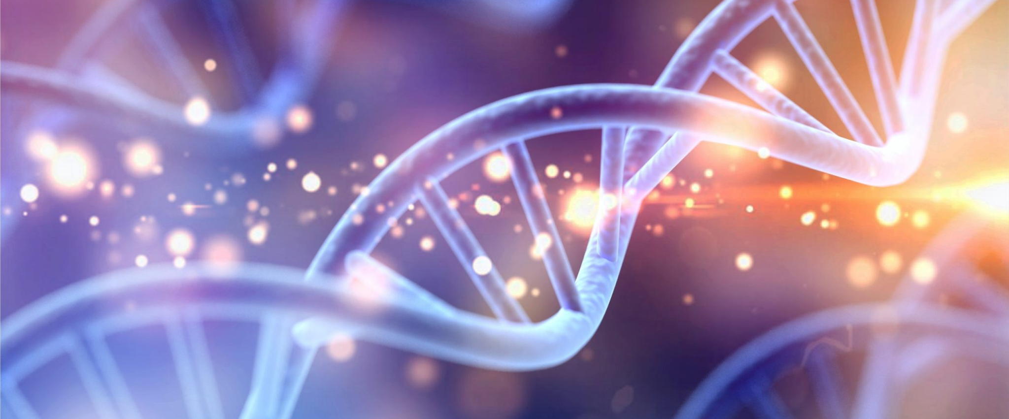 Разработка ДНК бренда