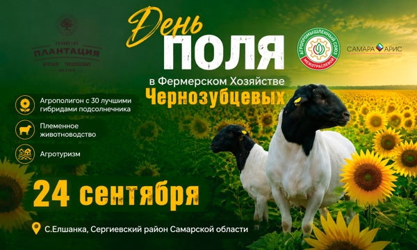 ДЕНЬ ПОЛЯ В ФЕРМЕРСКОМ ХОЗЯЙСТВЕ ЧЕРНОЗУБЦЕВЫХ