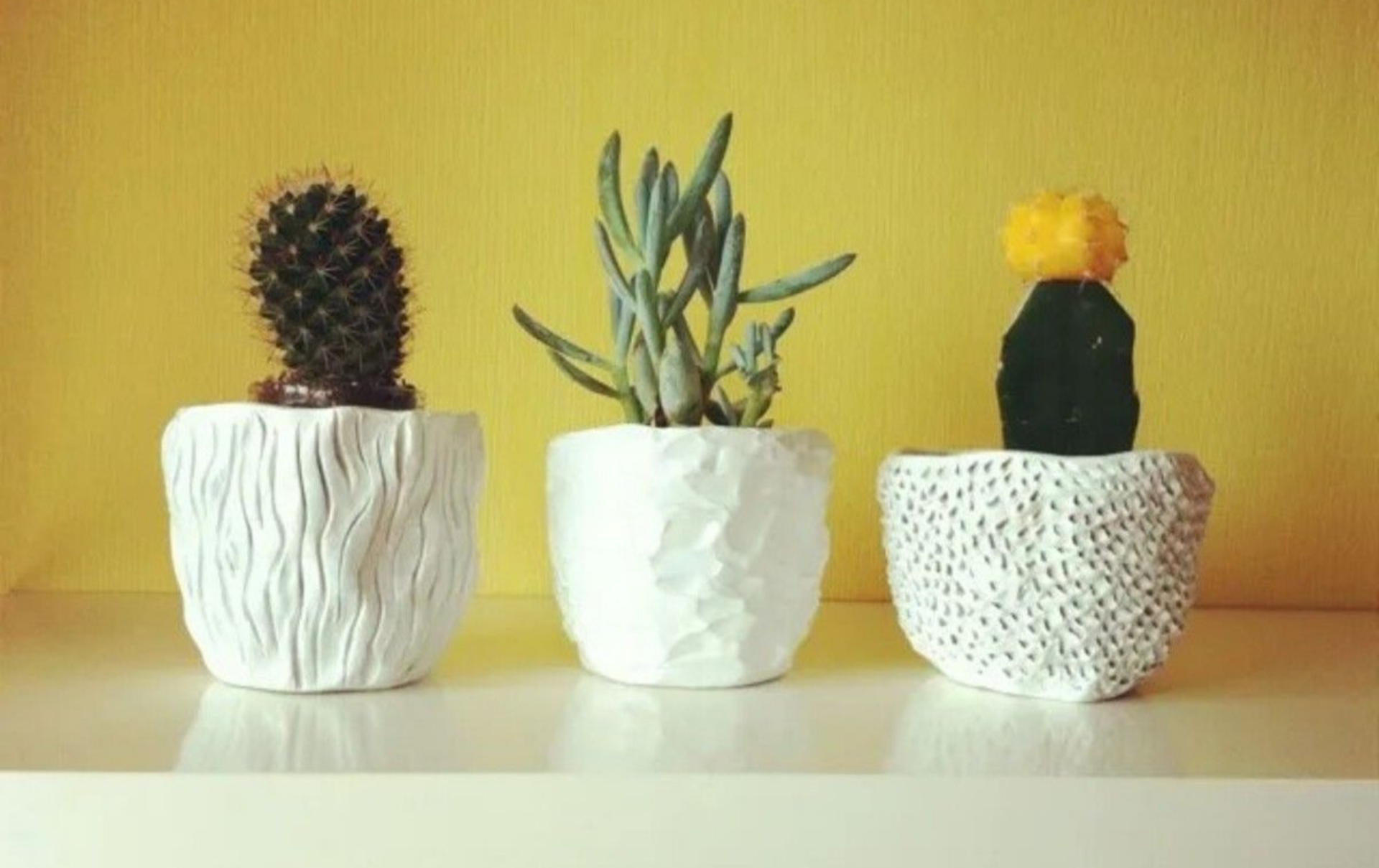 Мастер-класс по созданию кашпо для суккулентов и кактусов