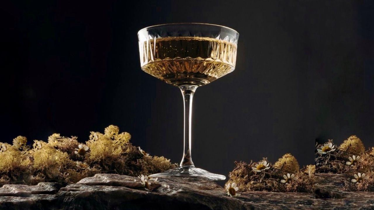 Вечер Шампани: путешествие по терруарам