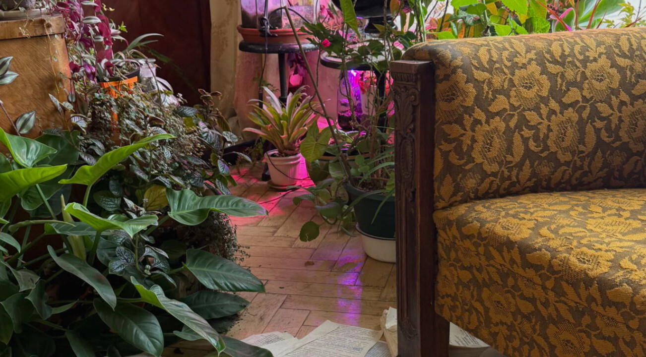 Дом Нирнзее. Литературные истории под крышей «тучереза»