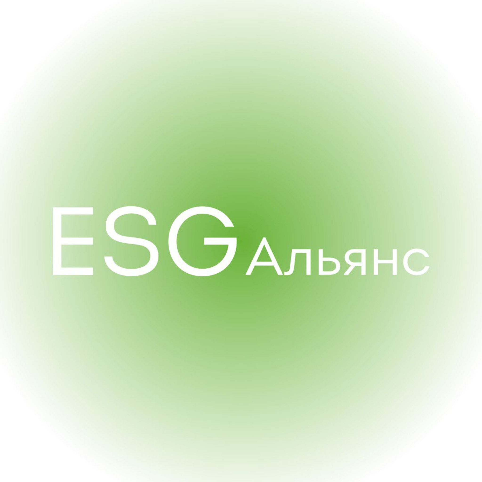 Комитет по ESG инфраструктуре и стандартизацции