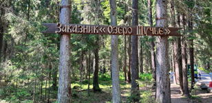 Бесплатная экскурсия «Заказник «Озеро Щучье»