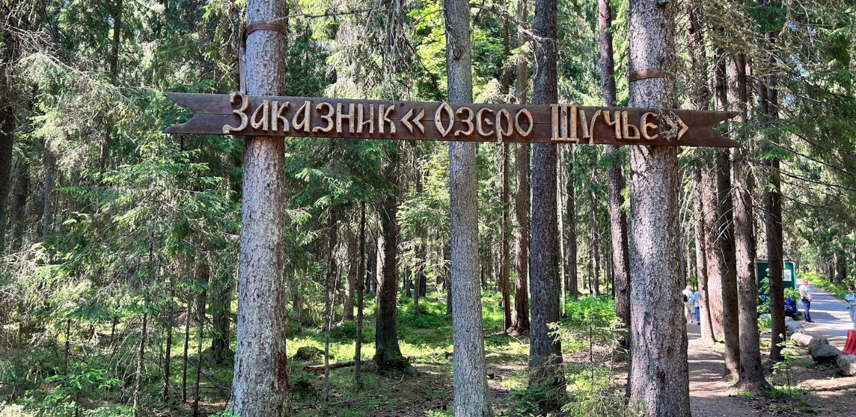Бесплатная экскурсия «Заказник «Озеро Щучье»