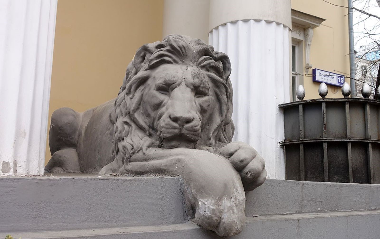 львы в санкт петербурге фото