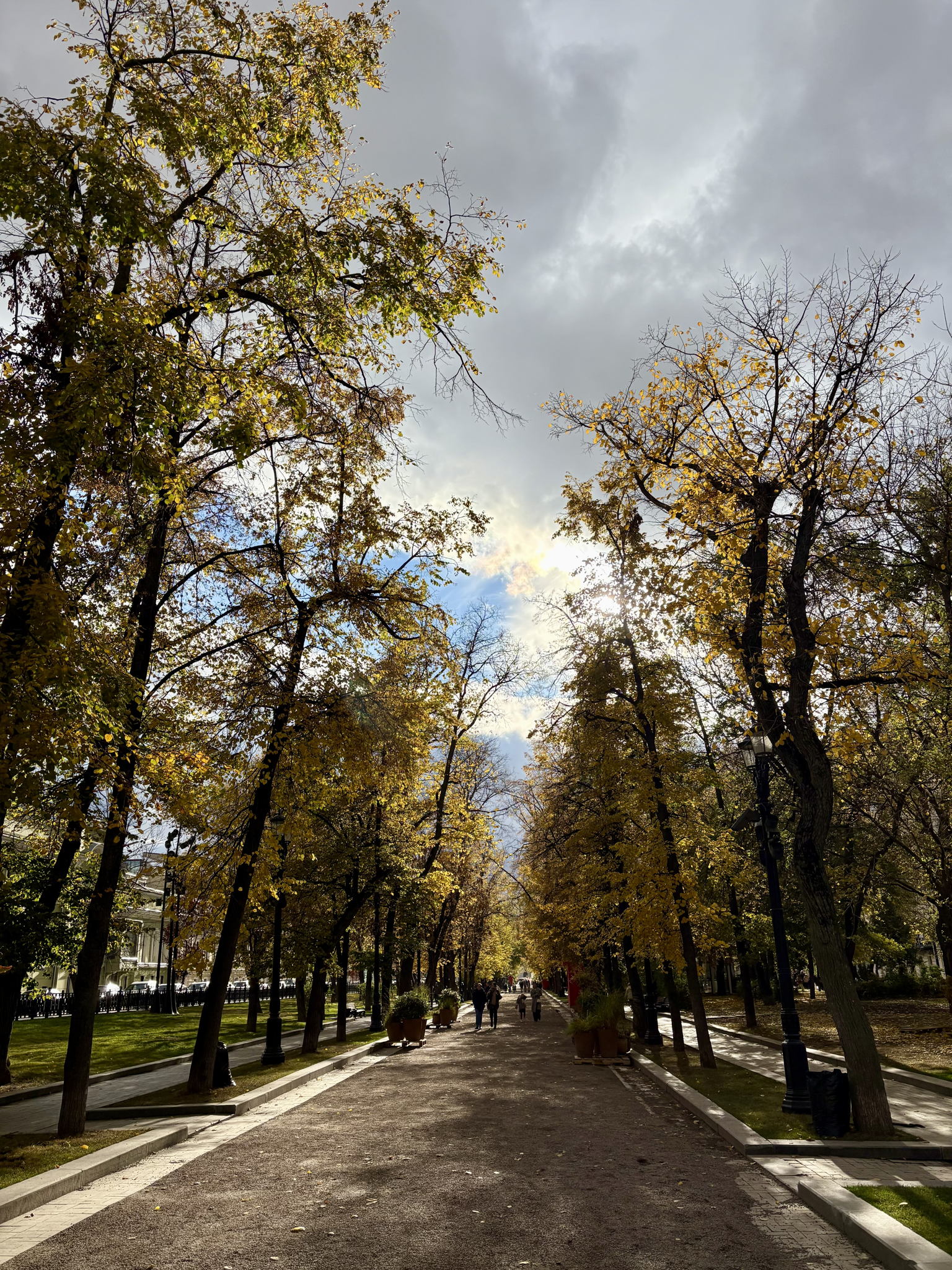 Писатели и другие романтики московских бульваров