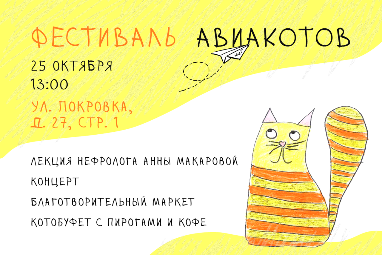 Фестиваль авиакотов