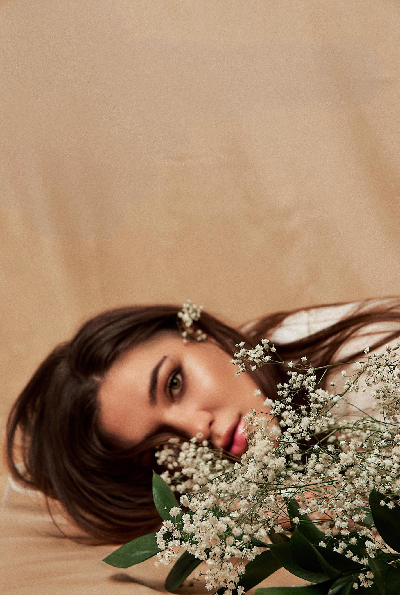 Ли́са.Акустика в Орбите