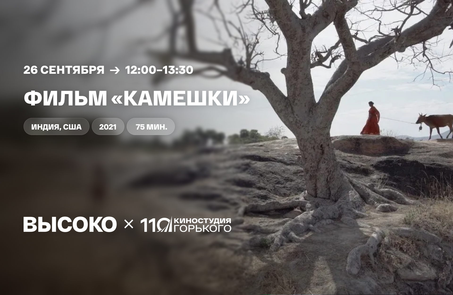 Игровой фильм «Камешки»