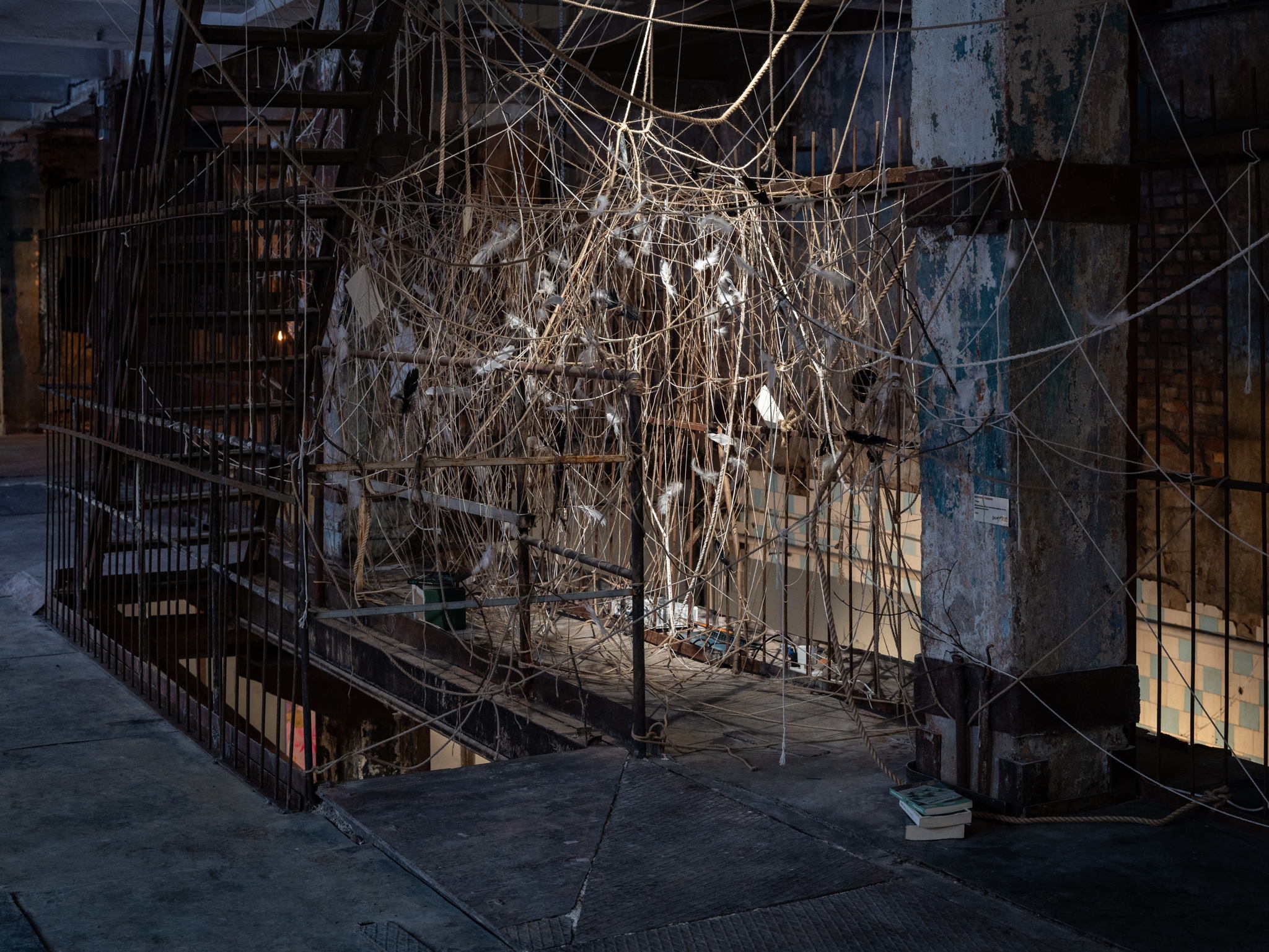 Медиации «Там, где год делает шаг»