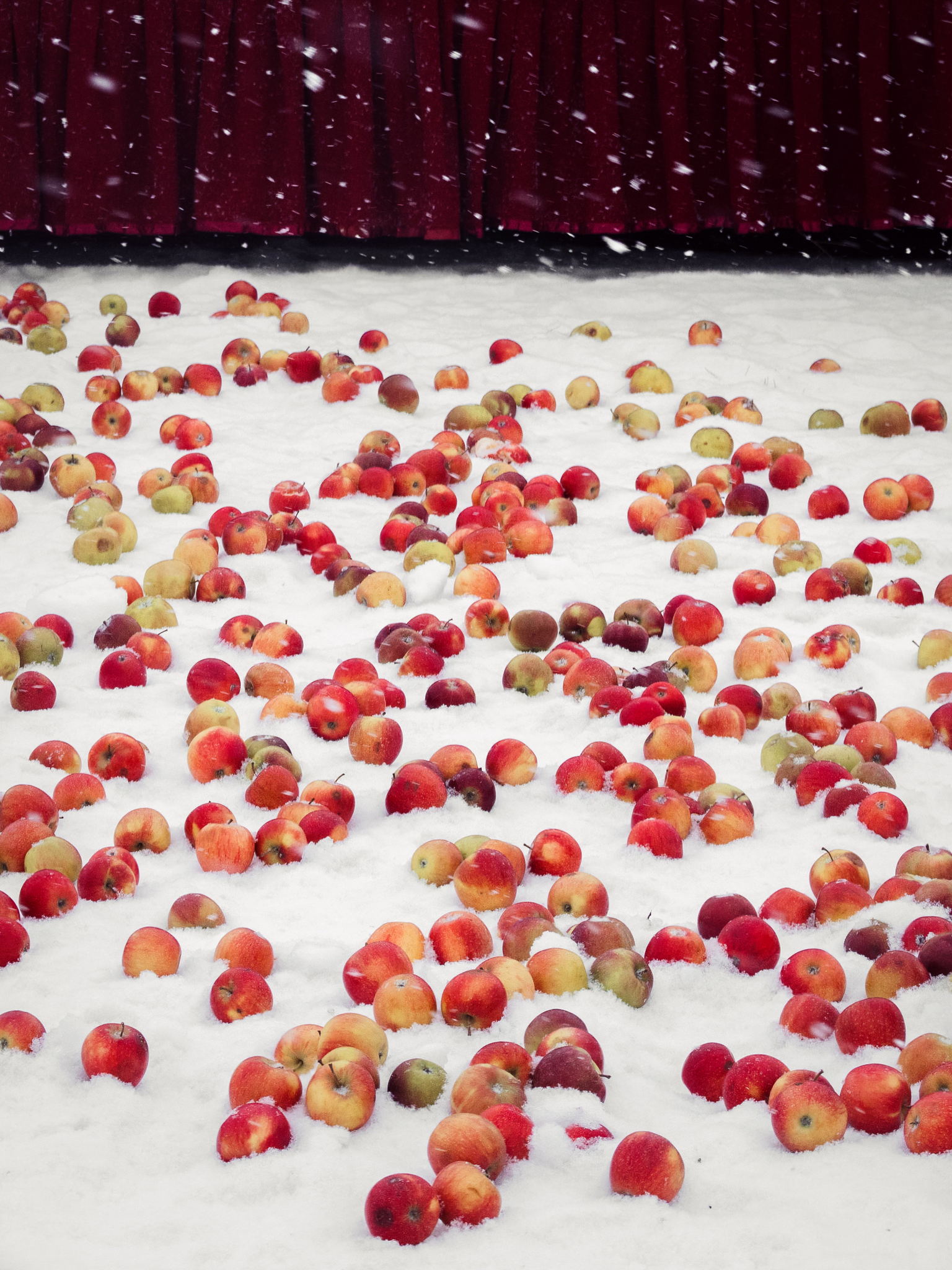 Вечер памяти Николая Комягина