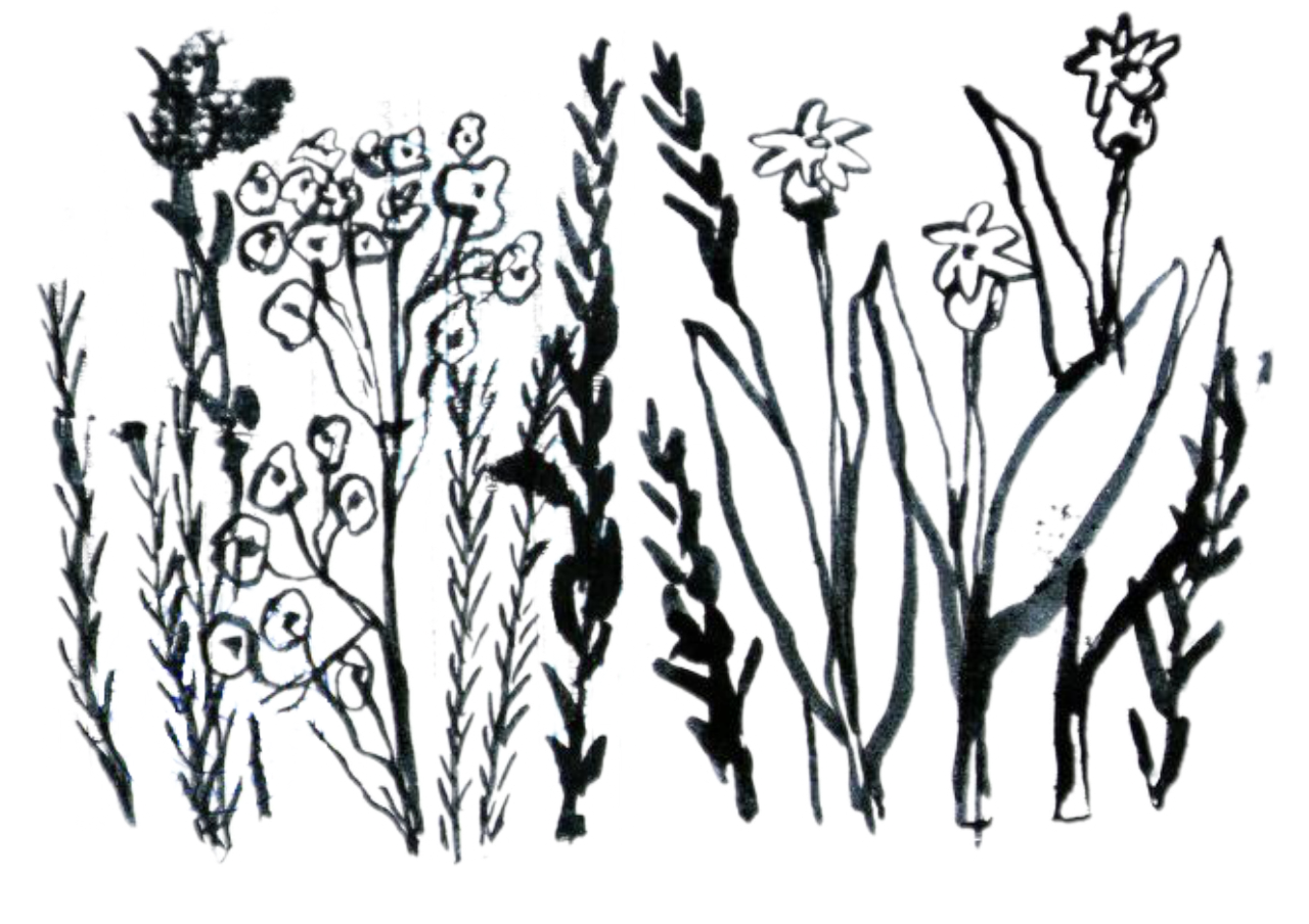 Мастер класс "Наброски"