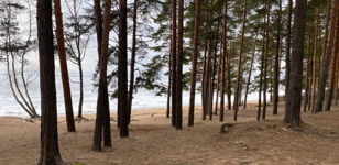  Бесплатная экскурсия «Дачники Куоккалы»  