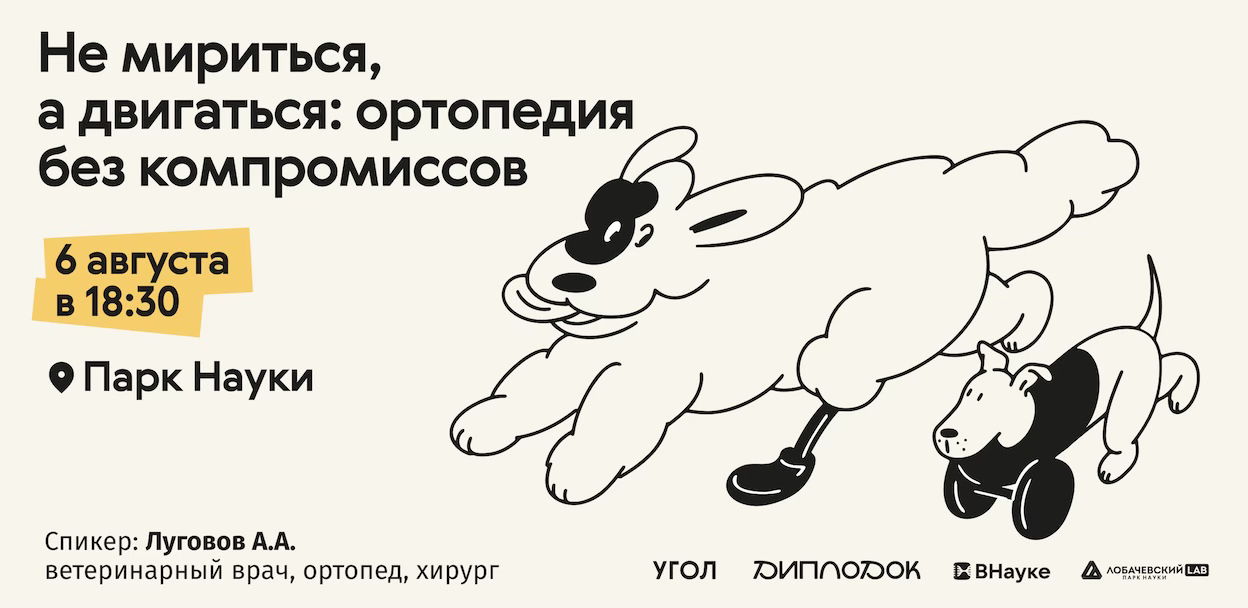 Лекция «Не мириться, а двигаться: ортопедия без компромиссов»