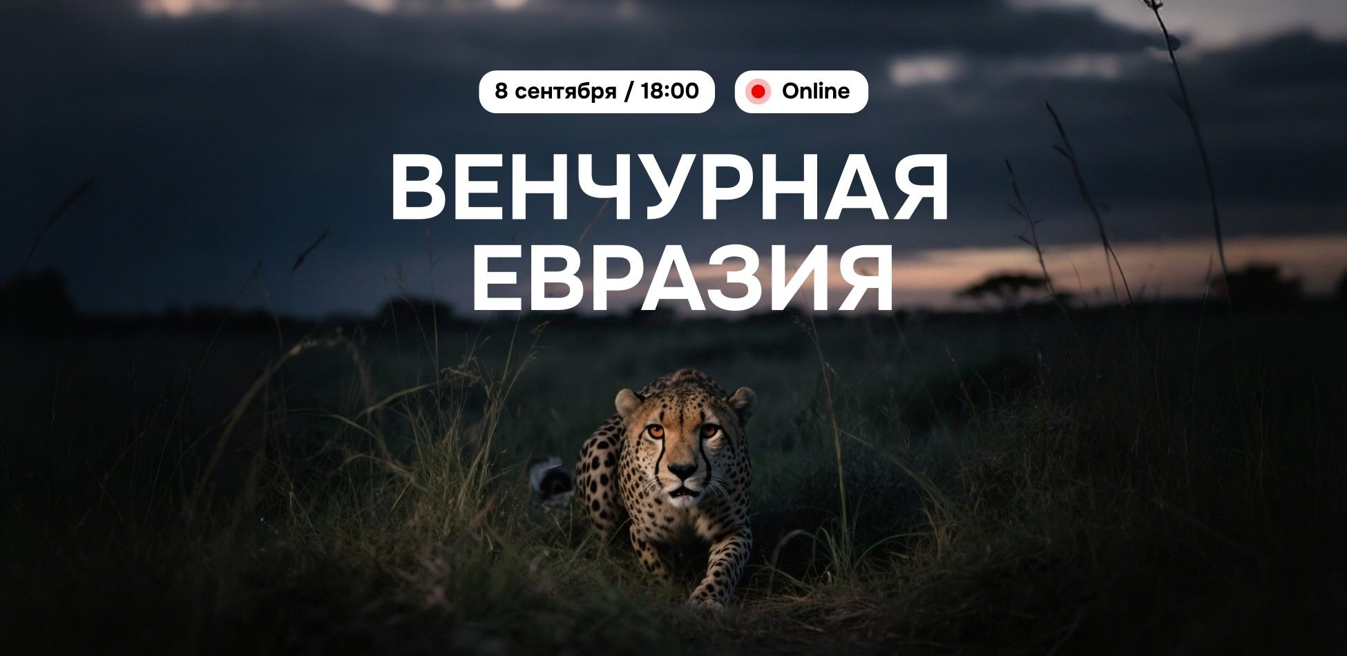 Венчурная Евразия: итоги первого полугодия 2025 (Online)