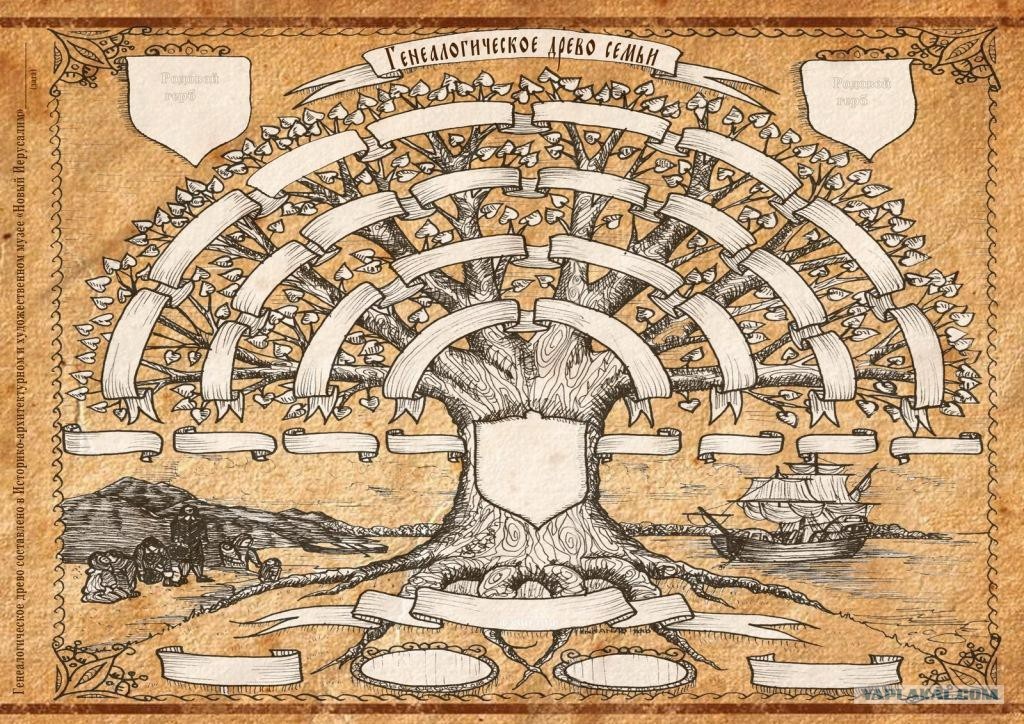 Схема древа рода
