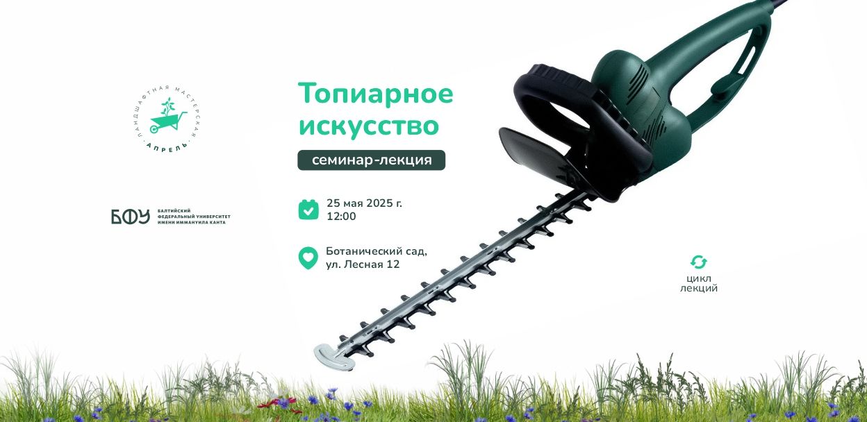 Год садовника: Июнь. Топиарное искусство