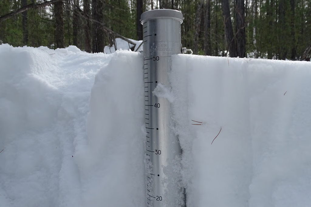 в 15:00 Снежный практикум: снегомерная съёмка и исследование снега с географом Юлией Поповой. 8+