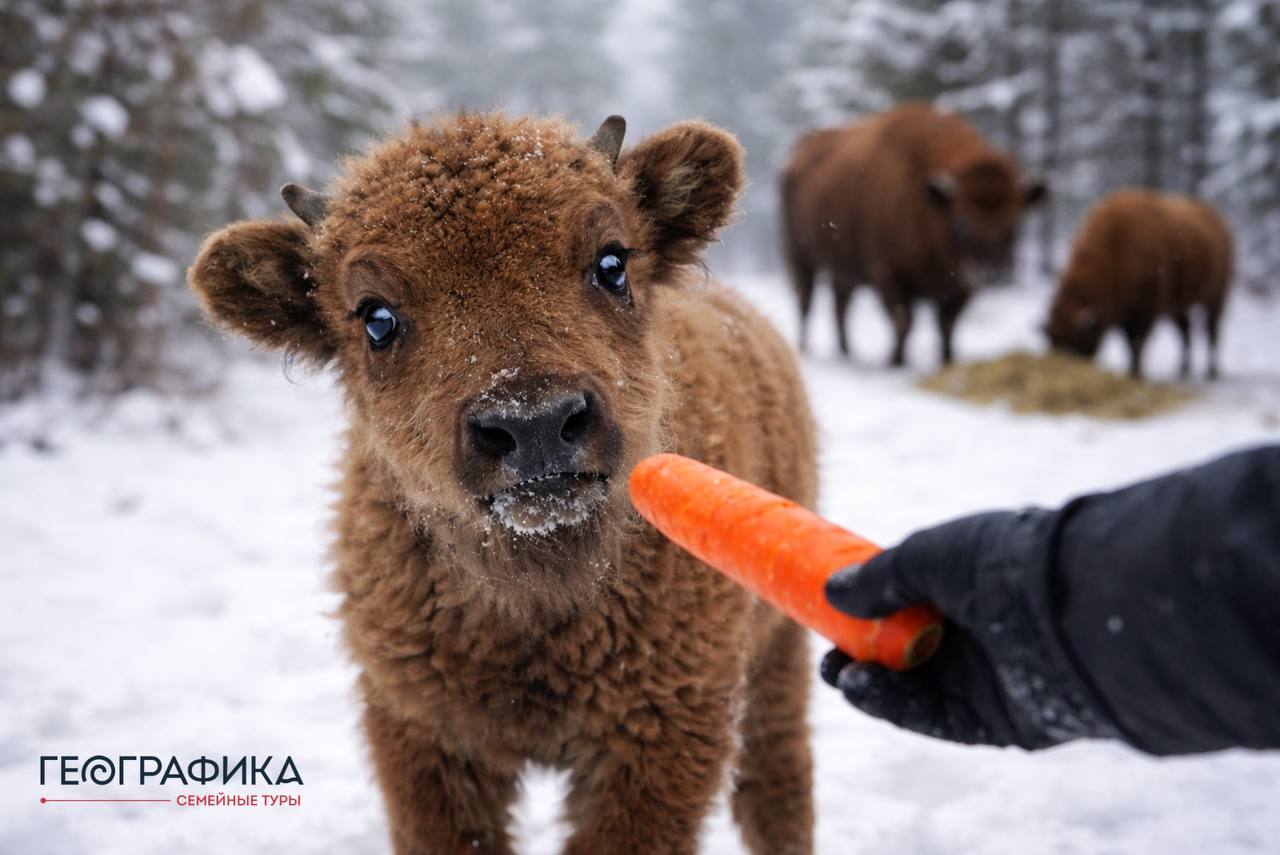 Экскурсия с гидом-биологом для родителей с детьми в Зубровник 6+