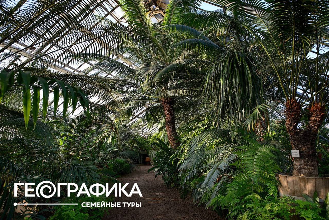 Санкт-Петербург. Выходной с биологом, программа «Тайны тропиков» 6+
