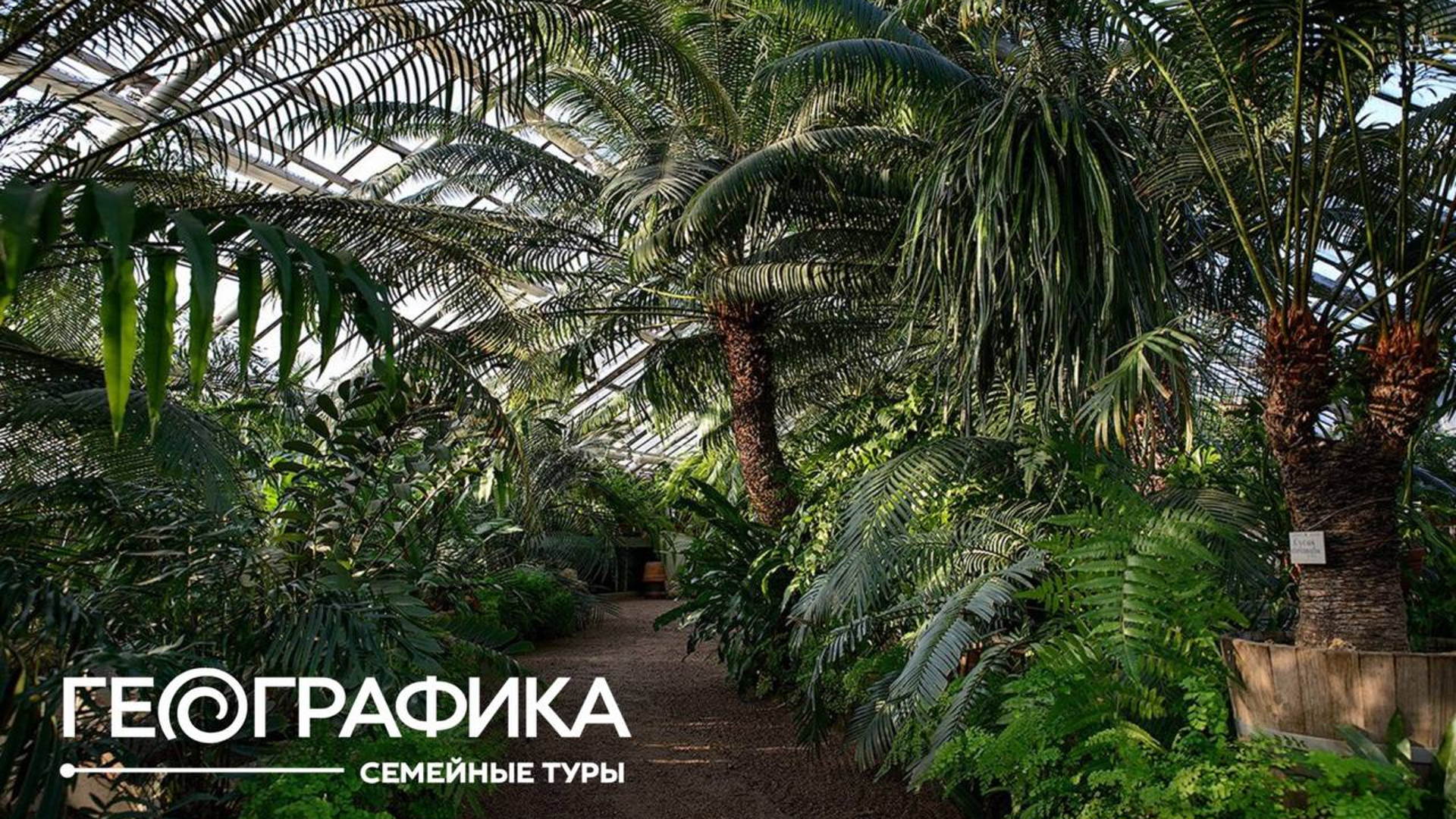 Афиша: Санкт-Петербург. Выходной с биологом, программа «Тайны тропиков» 6+ — Площадка уточняется