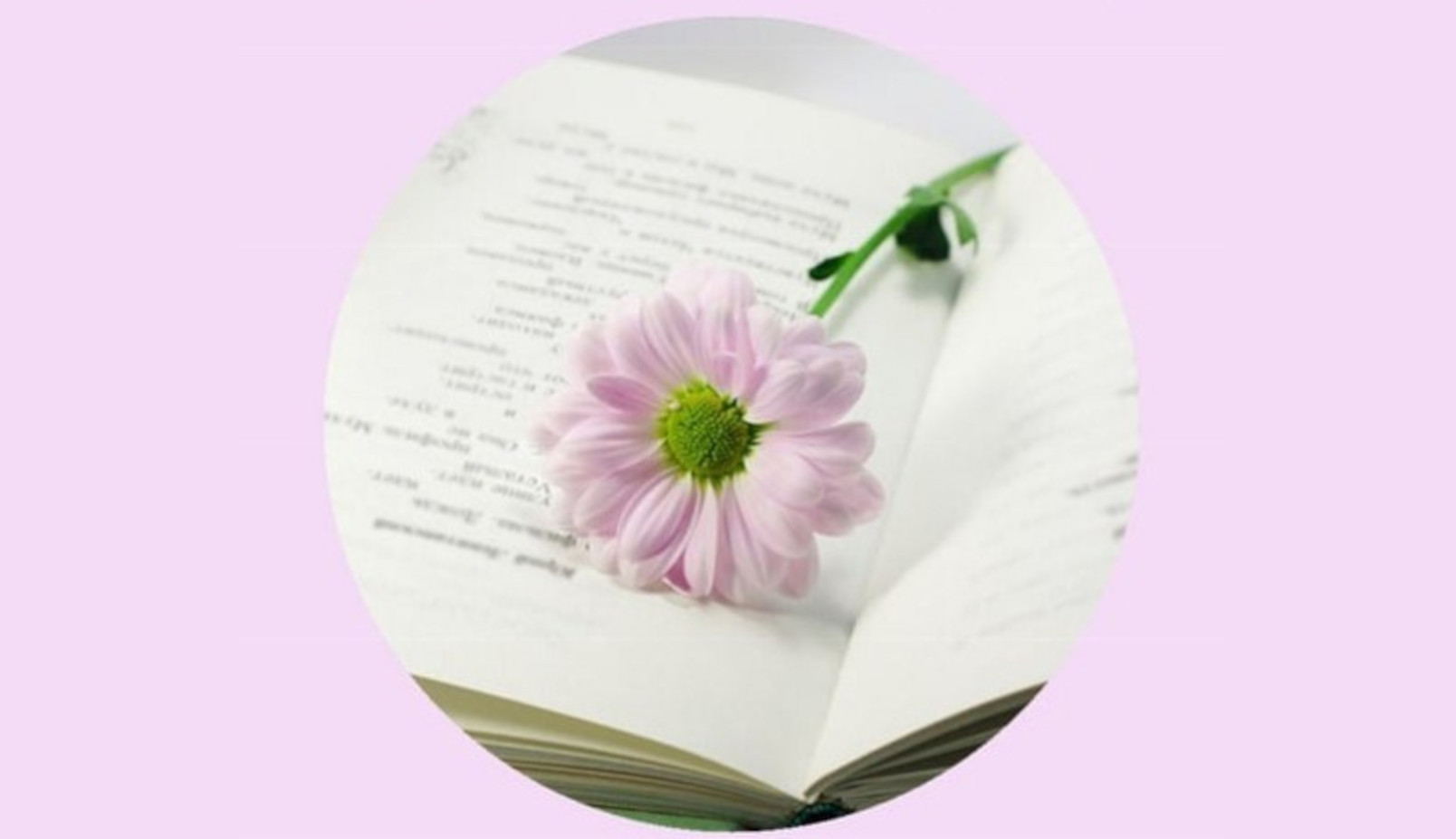 Лит. чтения «Поэзия мир наделяет душой»