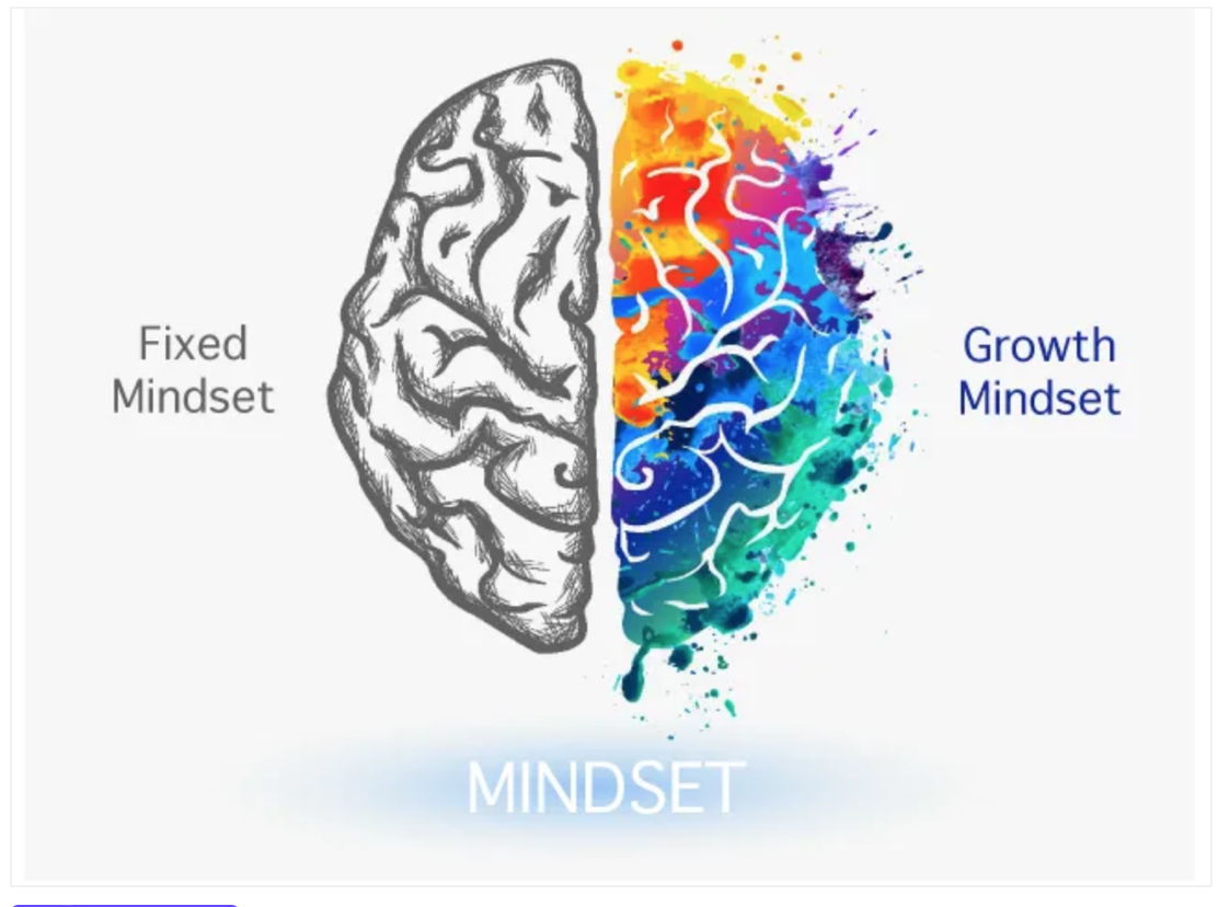 Практикум "Growth Mindset- инструмент улучшения жизни"