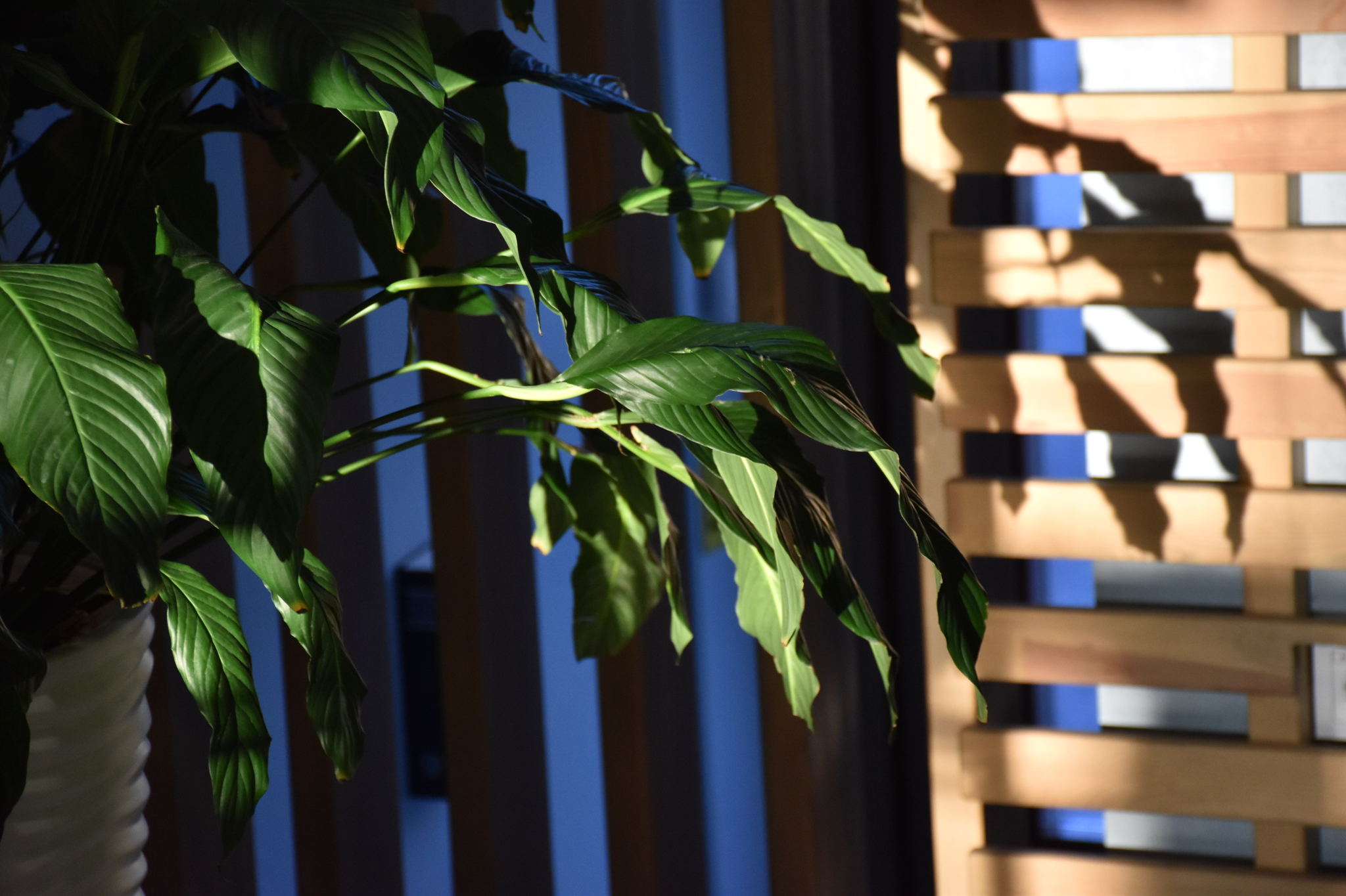 Лекция «Тревога: инструкция к применению»