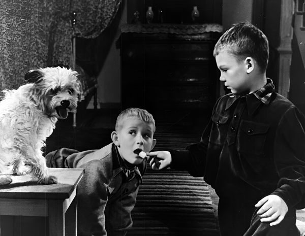 Фильм «Два друга», 1954 год. (к/т «Иллюзион», Большой зал)