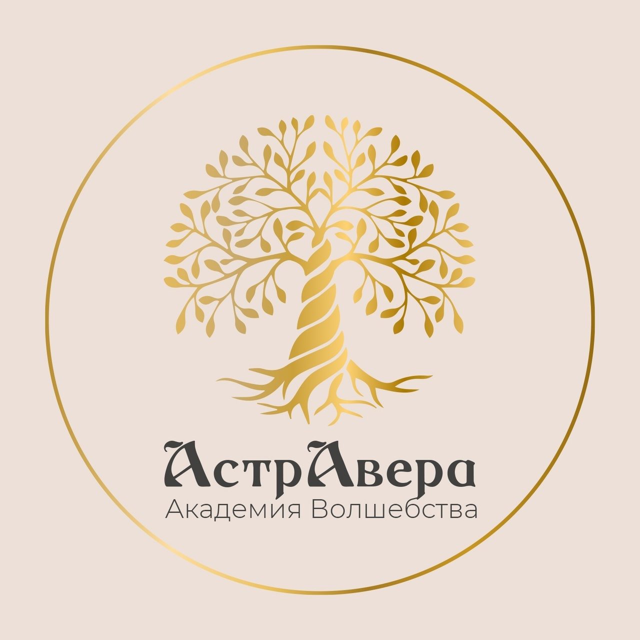 Образовательный проект Академия "АстраВера"