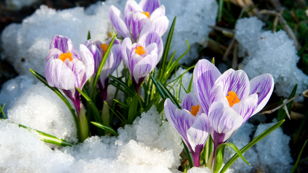 Детское ателье "Vive le printemps! - Встречаем весну вместе" 29 февраля
