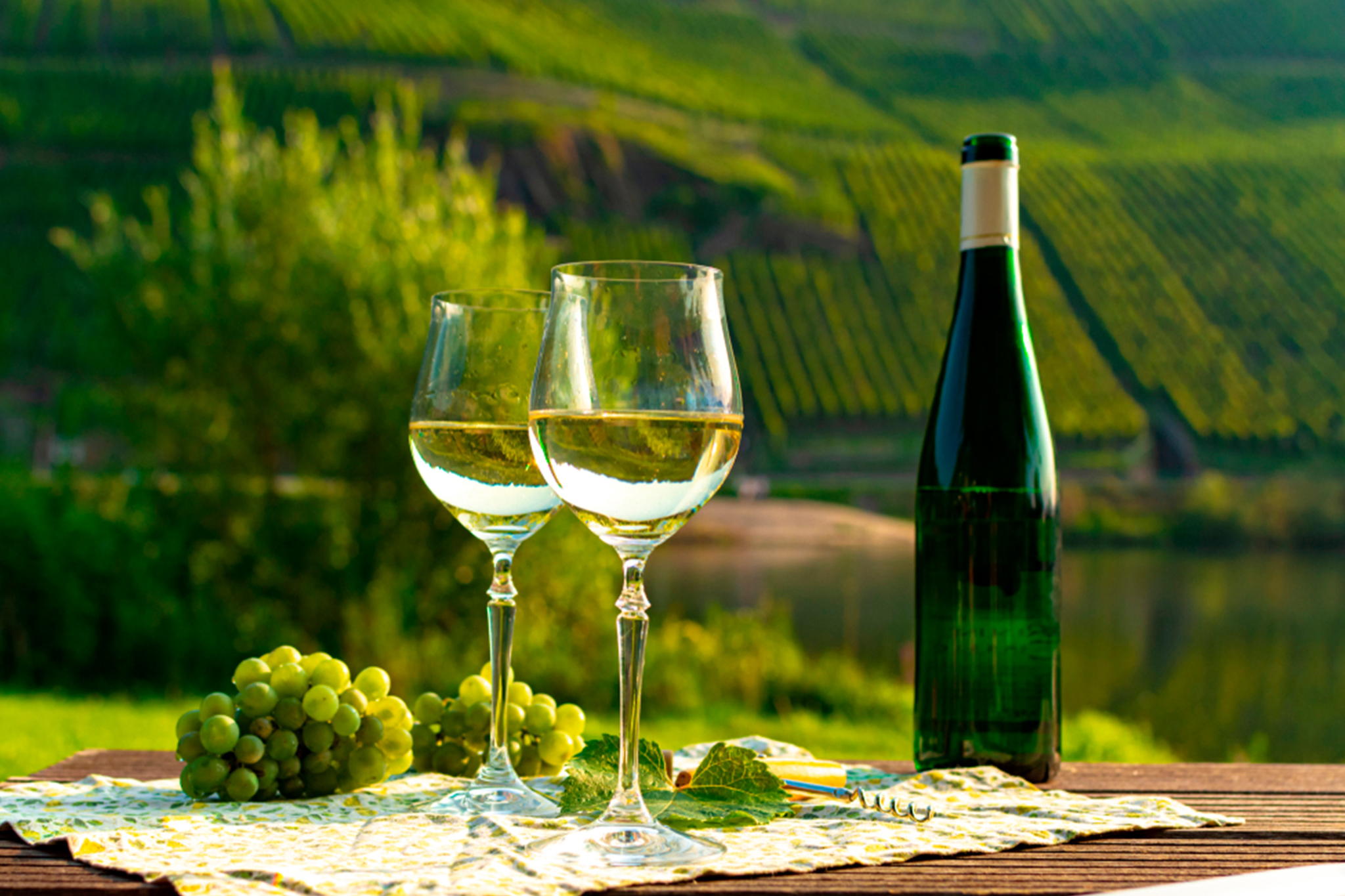 Рислинг, который всегда с тобой: лекция-дегустация